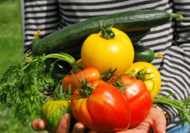 Atelier potager -MIJE