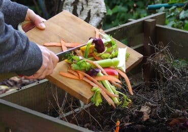 Atelier DM Compost - Environnement Association MIJE