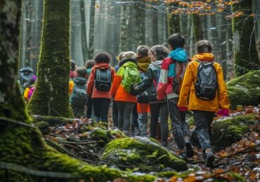 groupe d'élèves en voyage scolaires dans la forêt