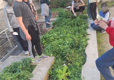 Reprise de l’atelier potager aux MIJE !À l’auberge de Fourcy, nous avons eu le plaisir d’accueil (1)